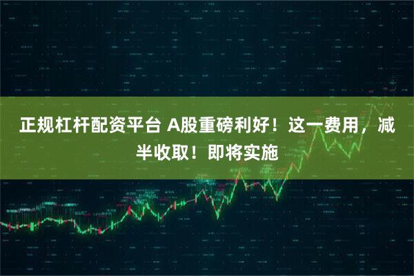 正规杠杆配资平台 A股重磅利好！这一费用，减半收取！即将实施